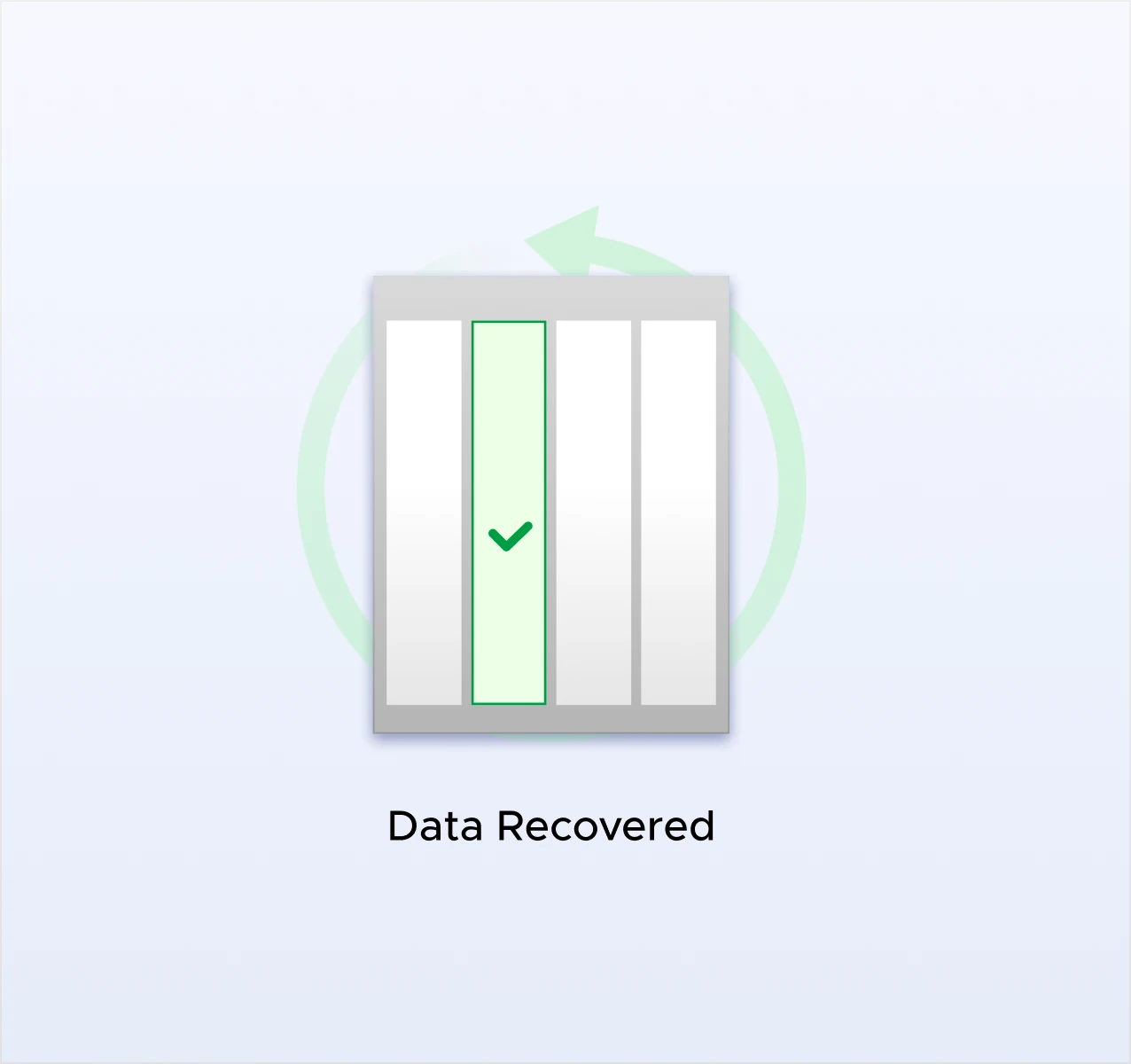 RAID Redundancy Protection